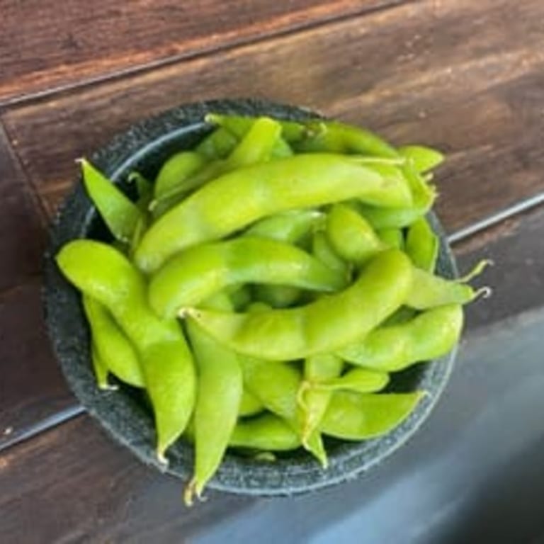Delicious Edamame: A Japanese Appetizer Favorite